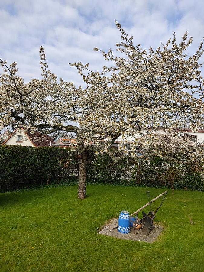 Ferienwohnung Ostseestrandlaeufer 2 Zingst Εξωτερικό φωτογραφία